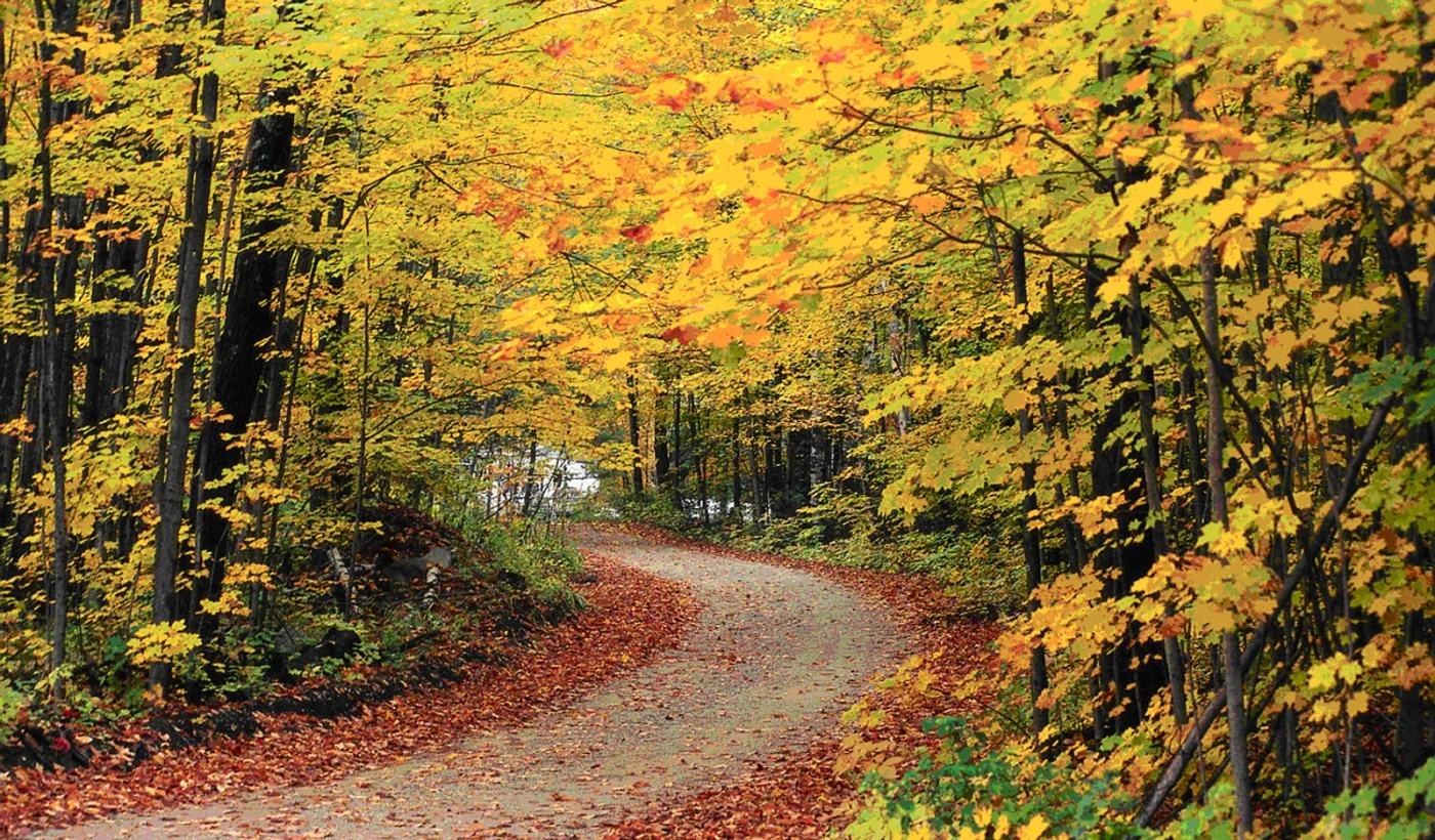 Selling Land to a Developer in Vermont
