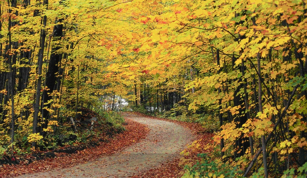 How to Sell Land Without a Realtor in Vermont land guide