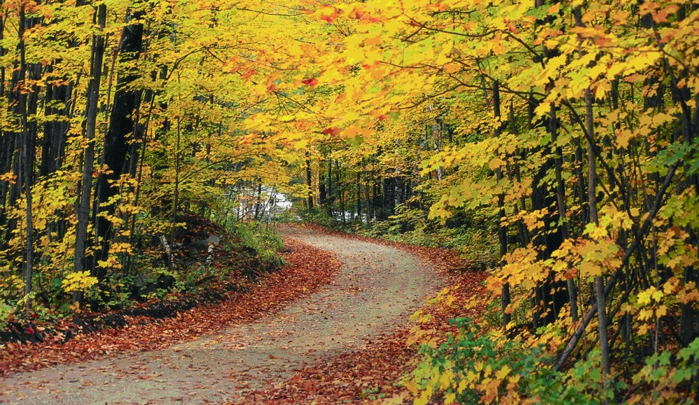 How to Sell Land Without Clear Title in Vermont closing checklist