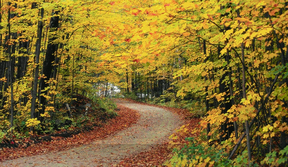 Vermont Land Buyers: How to Find Cash Buyers for Your Land land sale review