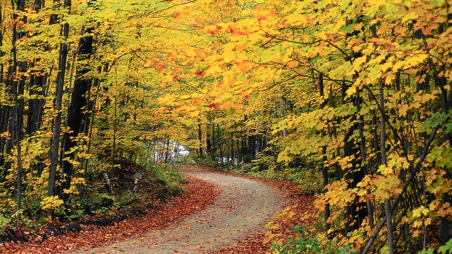 Essex County vacant land, wooded acreage, and rural parcels in Vermont