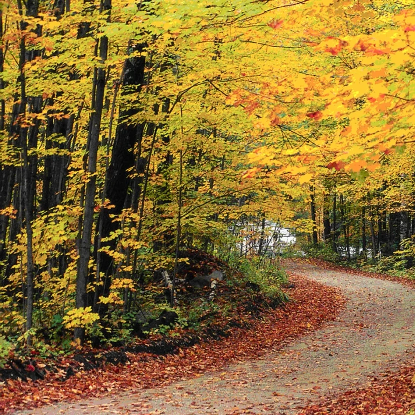 Montpelier vacant land, wooded acreage, and rural parcels in Vermont